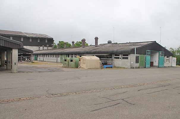 49156_8.jpg