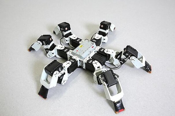 61456_8.jpg