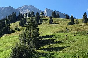 75472_8-1.jpg