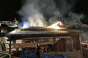 79119_8.jpg