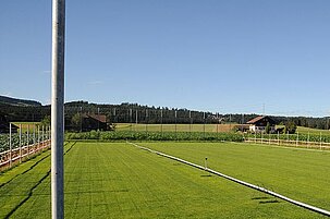 41330_8.jpg