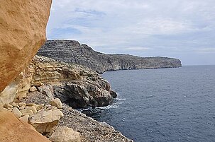 46636_8.jpg
