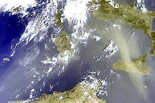 49625_8.jpg