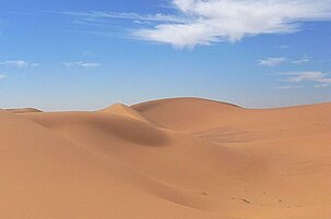 43025_8.jpg
