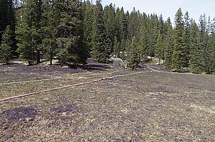 48706_8.jpg