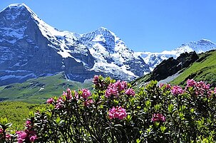 81693_8-1.jpg