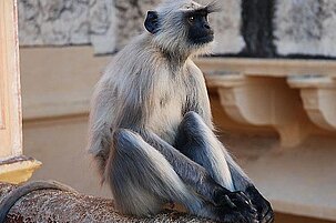 42159_8.jpg