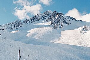 78219_8.jpg