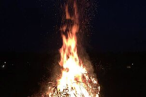 65789_8.jpg