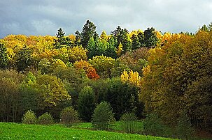 43230_8.jpg