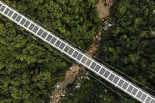 51fe71bf-1b51-a486-5f6f-dcb454818fcb-92435.jpeg