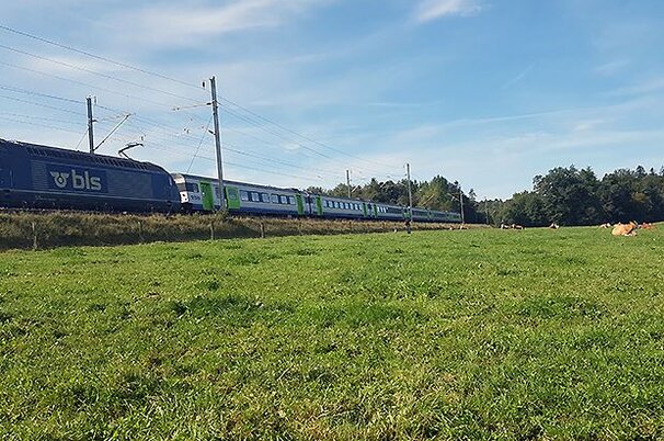 66355_8.jpg