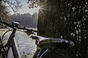 d059bf33-a101-cba0-0298-e4787b609b40-39247.jpeg