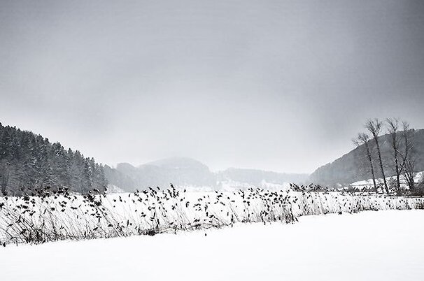 45920_8.jpg