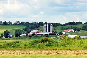 54309_8.jpg