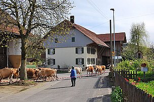 52423_8.jpg