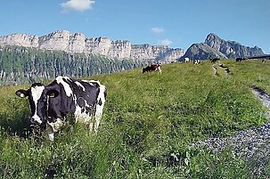 56750_8.jpg
