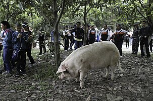 5adb113a-b918-8574-e937-5bc0038f3a06-40447.jpeg
