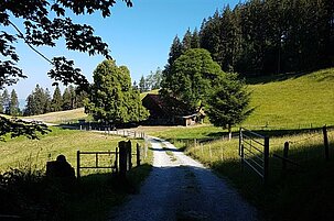 76047_8.jpg