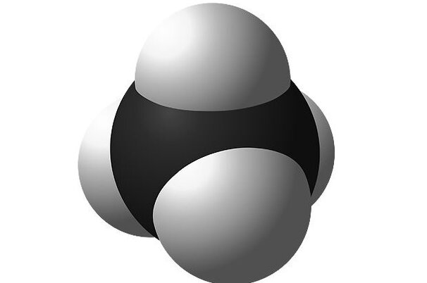 35778_8.jpg