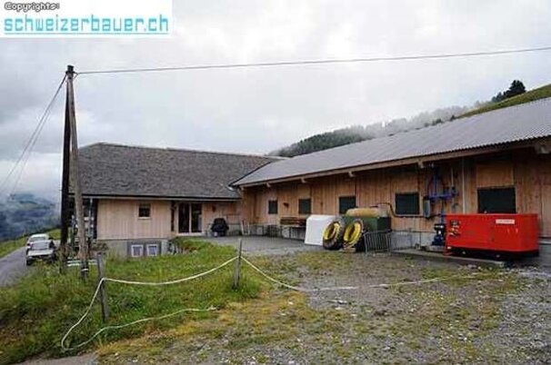 13612_8.jpg