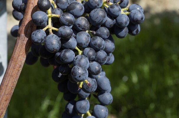 d0053a2a-c54b-f77b-8a61-09c56e257891-8325-scaled.jpeg