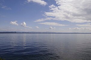 5ba8ee3e-9256-bd09-e5ac-75d3544a07ab-1588-scaled.jpeg