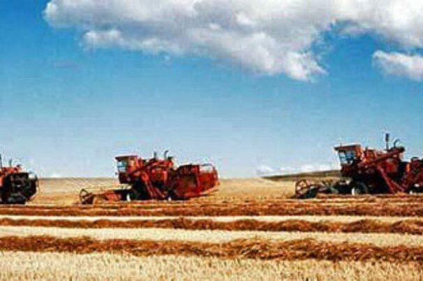 7044_8.jpg