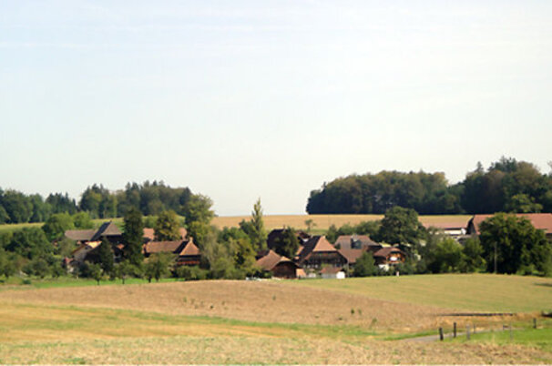 8103_8.jpg