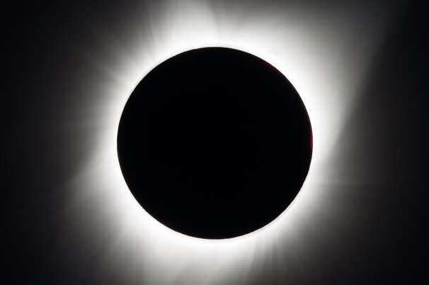 1be48e8d-427a-6567-4d23-8266a050e780-93225.jpeg
