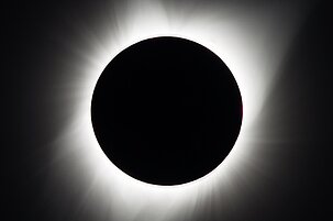 1be48e8d-427a-6567-4d23-8266a050e780-93225.jpeg