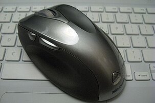 53528_8.jpg