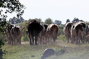 54841_8.jpg