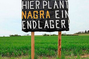 38687_8.jpg