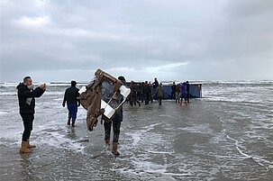 78220_8.jpg