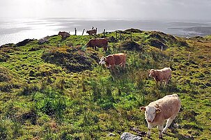81613_8.jpg