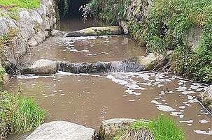 84151_8.jpg