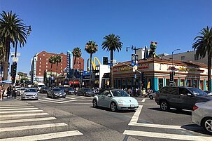 75718_8.jpg