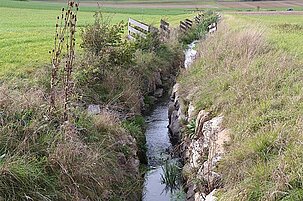 94339_8-1.jpg