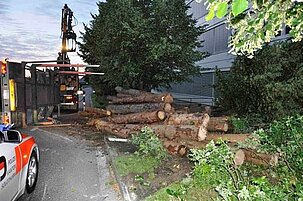 56091_8.jpg