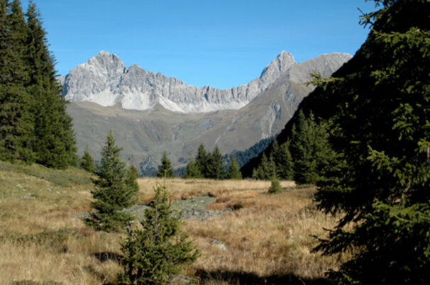 8830_8.jpg