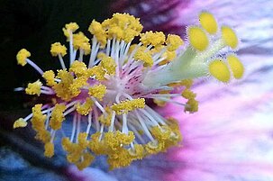 41059_8.jpg