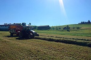 64072_8.jpg