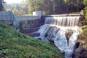 71837_8.jpg