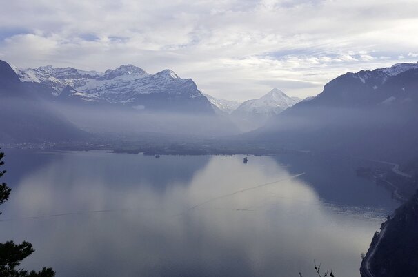 c25688ee-f699-9de0-de70-ef09d99615bc-78515.jpeg
