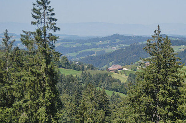 2974_8.jpg