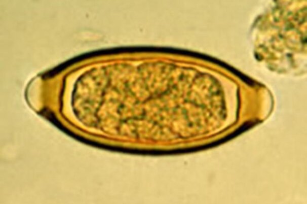 38750_8.jpg