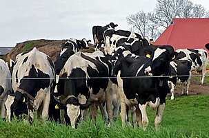 75637_8.jpg