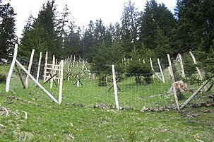 82338_8.jpg