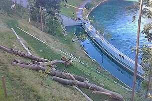 47398_8.jpg